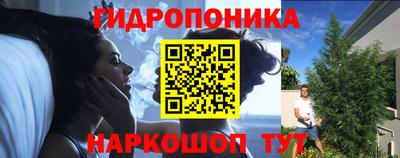 a pvp Лесосибирск