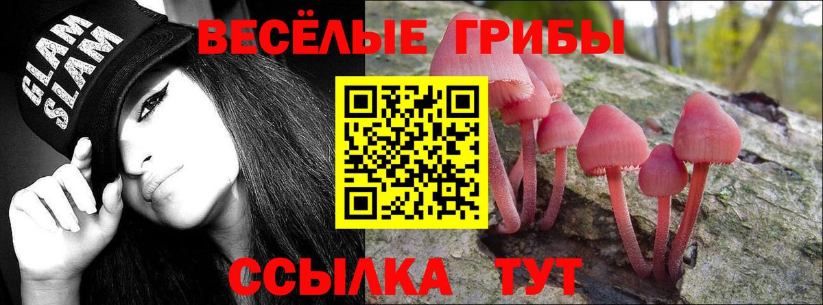 Псилоцибиновые грибы GOLDEN TEACHER  Вход с VPN  Гуково  Псилоцибиновые грибы Cubensis 